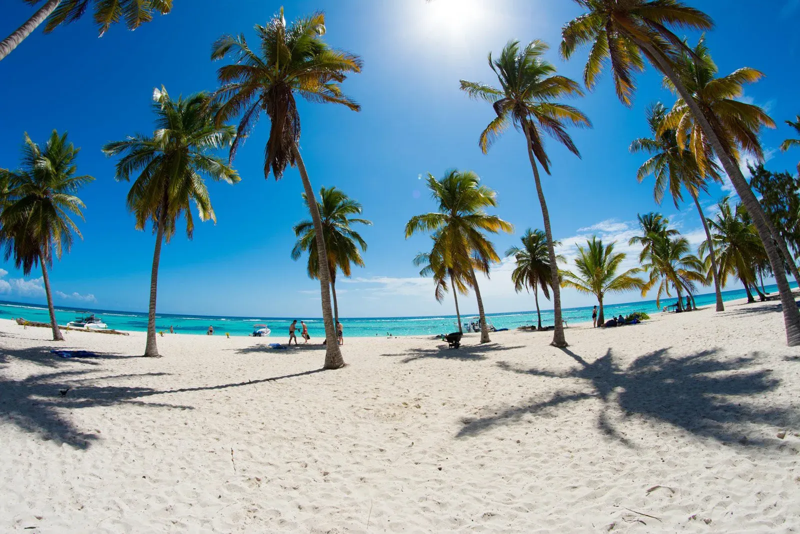 Bayahibe 2026: Siempre en Modo Caribe — Bayahibe (BYH)