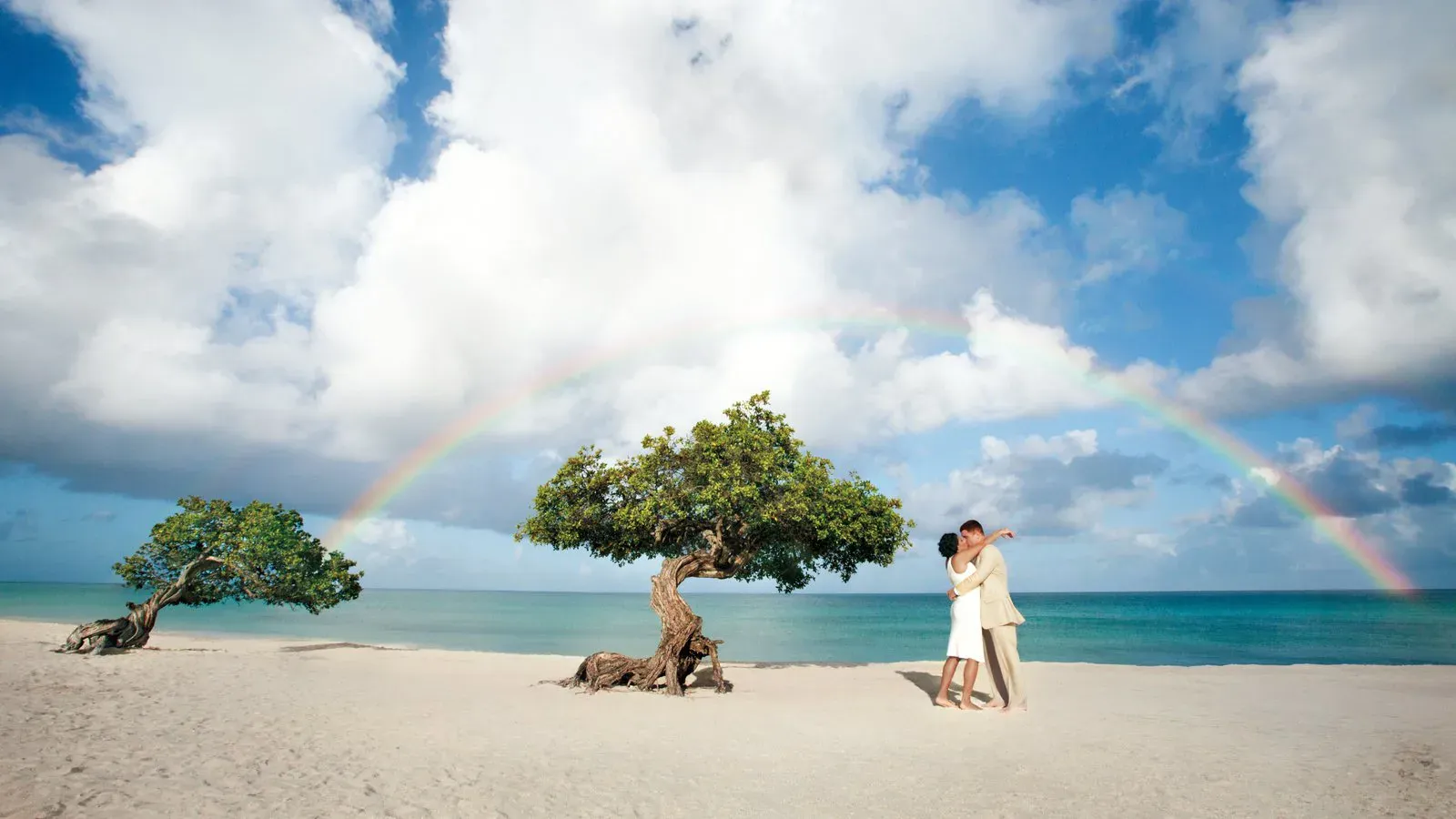 Verano a tu pinta: Aruba 2027 - Terrestre — Aruba (AVA)