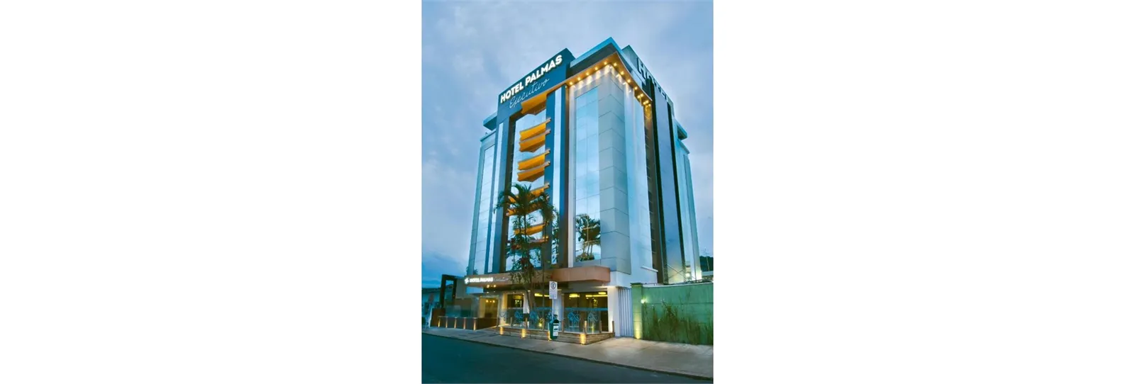 Hotel Hotel Palmas Executivo