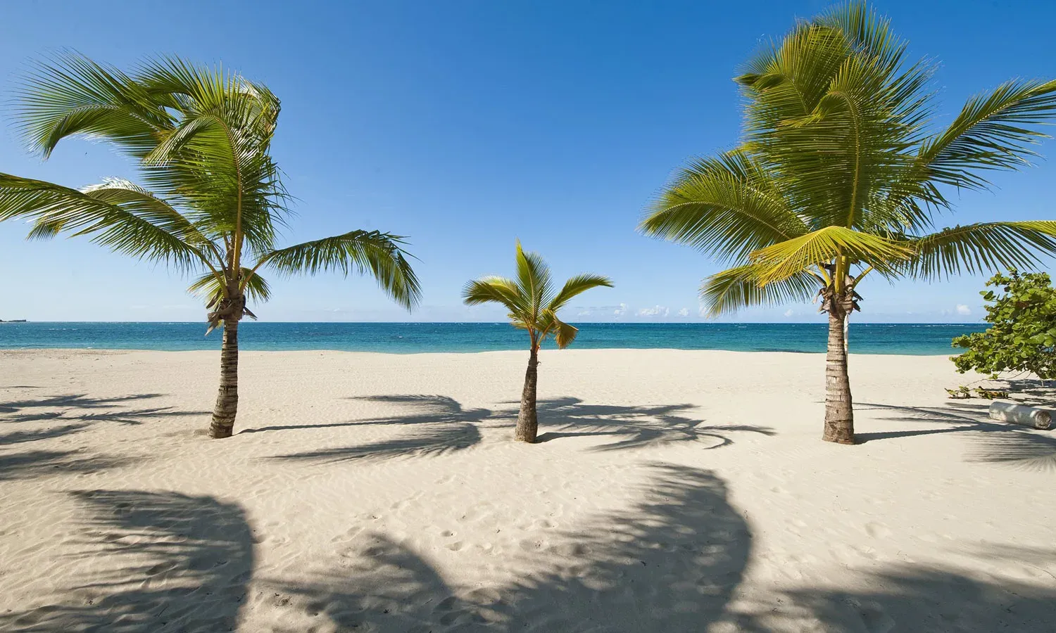 Cabarete 2026: Siempre en Modo Caribe — Cabarete (CBT)
