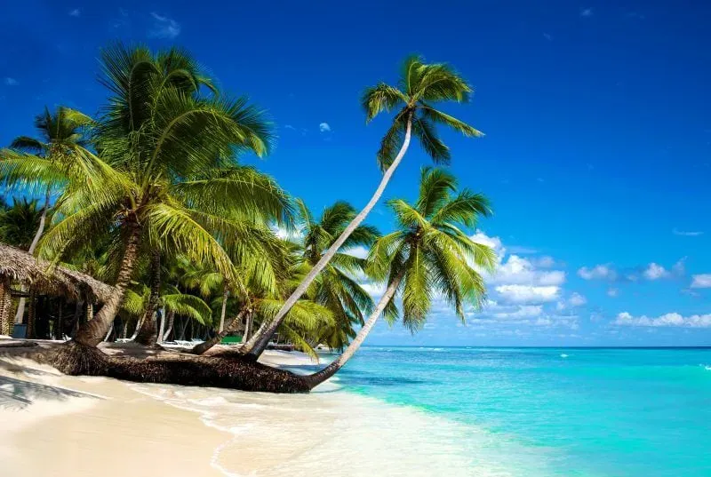 Verano en Hoteles RIU — Punta Cana (PUJ)