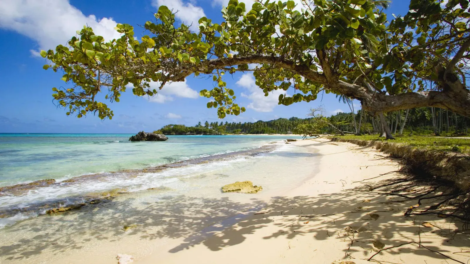 La Romana 2026: Siempre en Modo Caribe — La Romana (LRM)