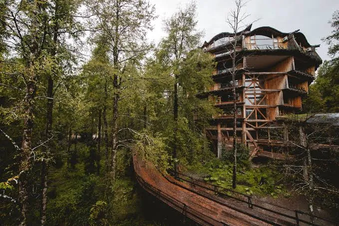 Huilo Huilo Selva Patagonica Temporada baja Domingo a Jueves 2026 — Panguipulli