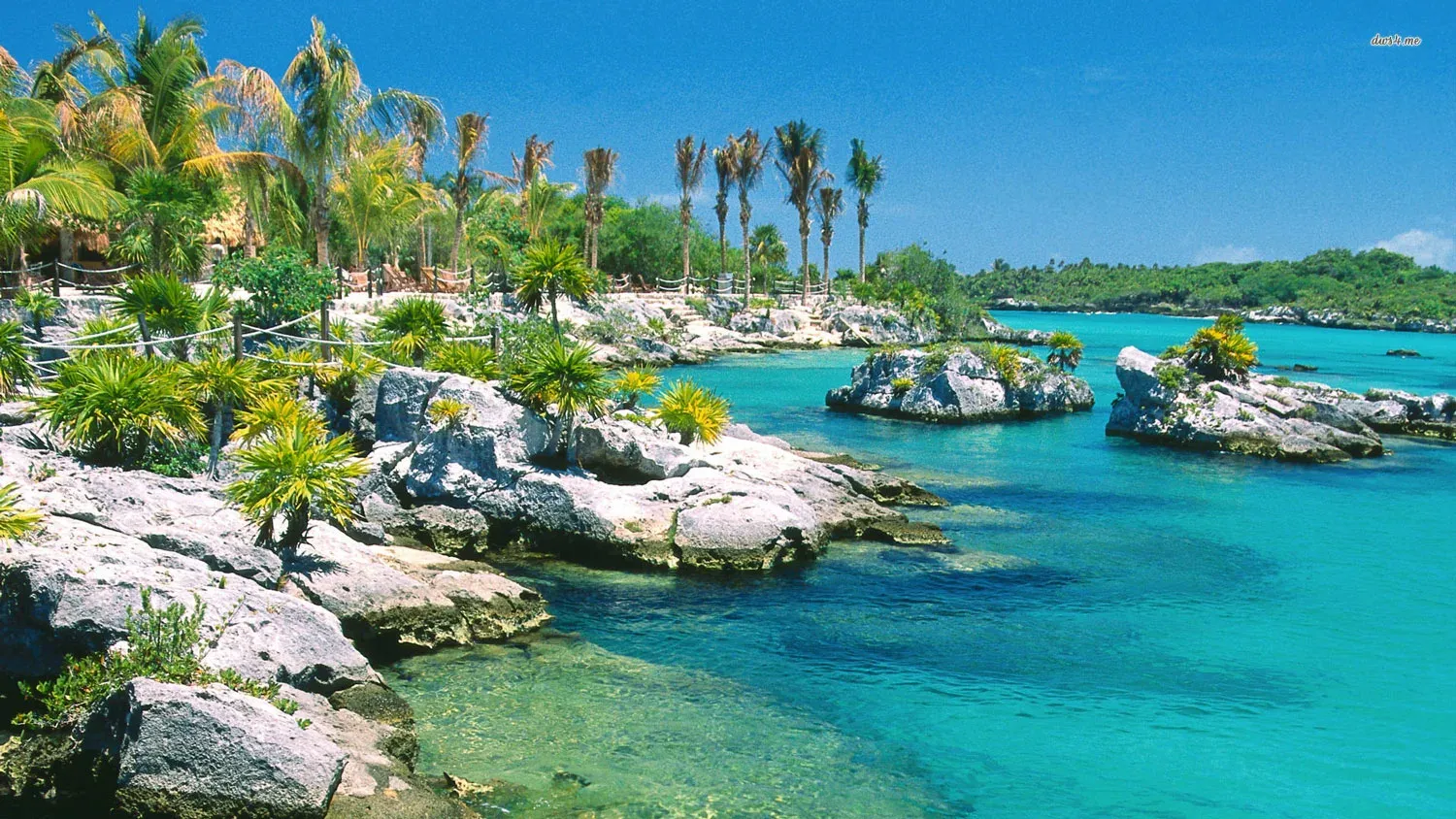 Verano en Hoteles Iberostar — Riviera Maya (RVM)