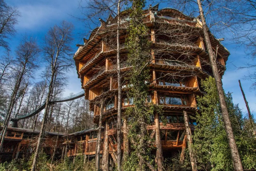 Hotel Nothofagus Hotel & Spa