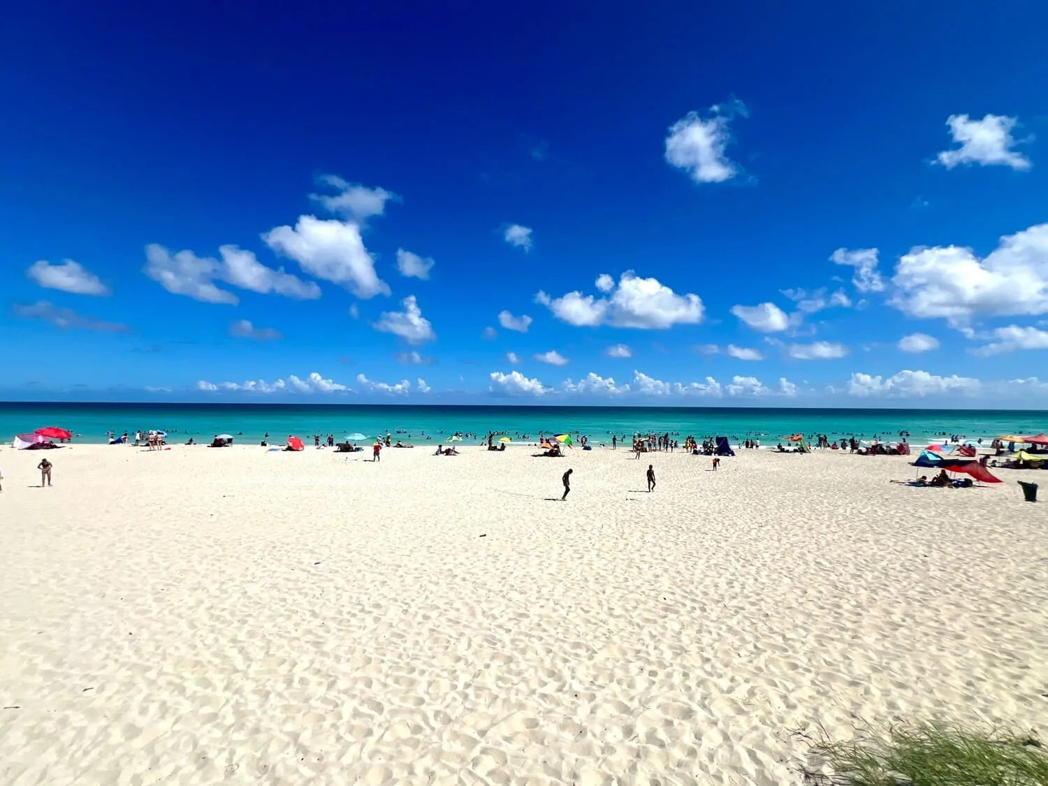Verano a tu pinta: Curacao 2027 - Terrestre — Curacao (CUR)